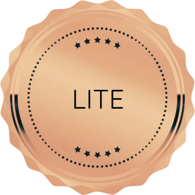 badge-lite badge-lite